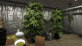 Deluxe House FiveM MLO — GTA RP Interior — ESX QB QBOX — RPBazzar