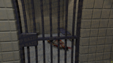 Gang Hideout #035