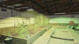 Underground Drug Lab FiveM MLO — GTA RP Interior — ESX QB QBOX — RPBazzar