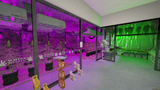 Gourmet Food Court FiveM MLO — GTA RP Interior — ESX QB QBOX — RPBazzar