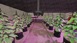 Derelict Drug Lab FiveM MLO — GTA RP Interior — ESX QB QBOX — RPBazzar
