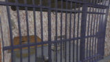 Abandoned House FiveM MLO — GTA RP Interior — ESX QB QBOX — RPBazzar