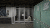 Outlaw Gang Mansion FiveM MLO — GTA RP Interior — ESX QB QBOX — RPBazzar
